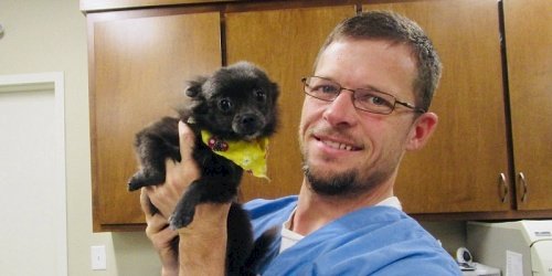 About Eastside Animal Hospital in Athens, AL